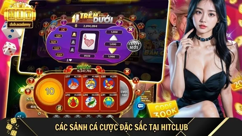 hitclub academy moi san choi deu co nhung diem cuon hut 1 Mỗi sân chơi tại Hit club đều có những điểm cuốn hút