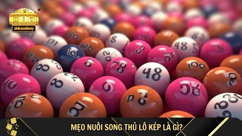 khai niem meo nuoi song thu lo kep Mẹo Nuôi Song Thủ Lô Kép Tại HitClub – Khái niệm mẹo nuôi song thủ lô kép