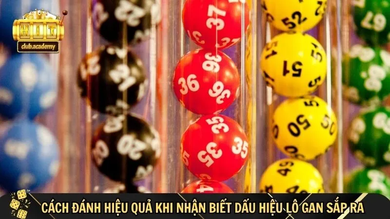 van dung dau hieu lo gan sap ra de co cach danh hieu qua Vận dụng dấu hiệu lô gan sắp ra để có cách đánh hiệu quả